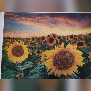 Sunflower Field Jigsaw Puzzle